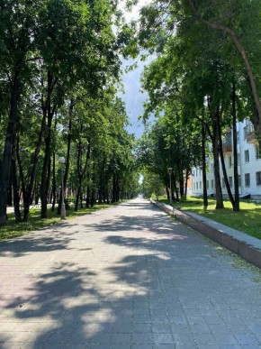 б-р. Культуры,25 в Нижние Серги - nizhnie-sergi.yutvil.ru - фото 39