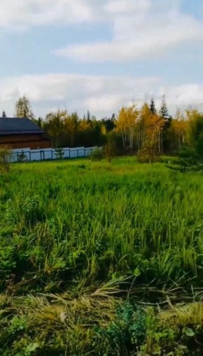 ДП Родной в Нижние Серги - nizhnie-sergi.yutvil.ru