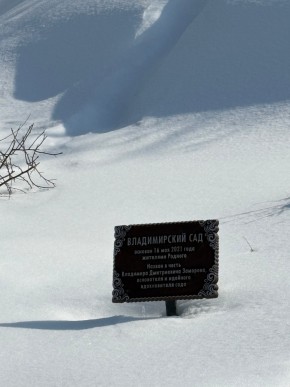 ДП Родной в Нижние Серги - nizhnie-sergi.yutvil.ru - фото 11