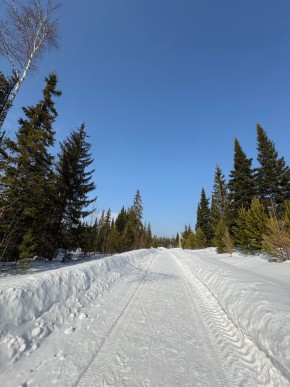 ДП Родной в Нижние Серги - nizhnie-sergi.yutvil.ru - фото 7