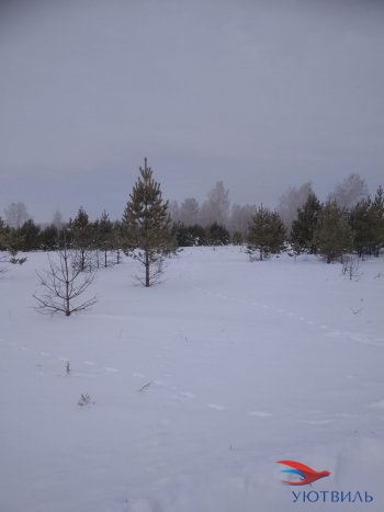 Земельный участок поселок Баженово в Нижние Серги - nizhnie-sergi.yutvil.ru - фото 5