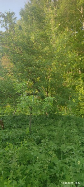 г Верхняя пышма, СНТ Мираж, уч.№ 99 в Нижние Серги - nizhnie-sergi.yutvil.ru - фото 10