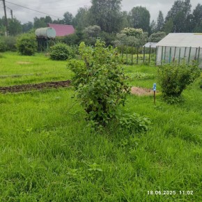 г Верхняя пышма, СНТ Мираж, уч.№ 99 в Нижние Серги - nizhnie-sergi.yutvil.ru - фото 11