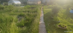 г Верхняя пышма, СНТ Мираж, уч.№ 99 в Нижние Серги - nizhnie-sergi.yutvil.ru - фото 3