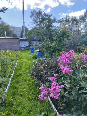 Коллективный сад номер 7, участок 58 в Нижние Серги - nizhnie-sergi.yutvil.ru - фото 23