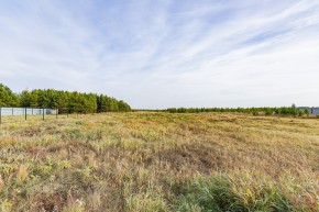 Российская Федерация, Свердловская область, Сысертский городской округ, территория садоводческого некоммерческого товарищества Бобровские дачи, улица Каштановая, земельный участок № 38 в Нижние Серги - nizhnie-sergi.yutvil.ru - фото 16