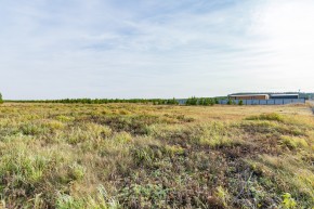 Российская Федерация, Свердловская область, Сысертский городской округ, территория садоводческого некоммерческого товарищества Бобровские дачи, улица Каштановая, земельный участок № 38 в Нижние Серги - nizhnie-sergi.yutvil.ru - фото 24