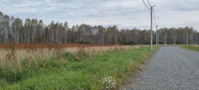 с. Новоалексеевское, КП Оникс,  в Нижние Серги - nizhnie-sergi.yutvil.ru - фото 1
