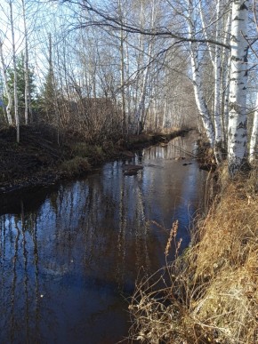 СНТ Берёзка в Нижние Серги - nizhnie-sergi.yutvil.ru - фото 14