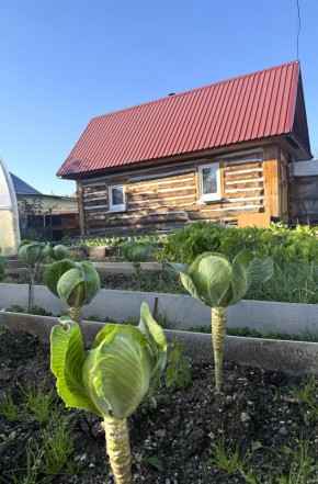СНТ Дорожник в Нижние Серги - nizhnie-sergi.yutvil.ru - фото 19