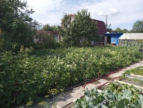 СНТ Медик-2 в Нижние Серги - nizhnie-sergi.yutvil.ru - фото 6