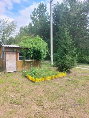 СНТ Родники в Нижние Серги - nizhnie-sergi.yutvil.ru - фото 2