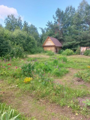 СНТ Родники в Нижние Серги - nizhnie-sergi.yutvil.ru - фото 3