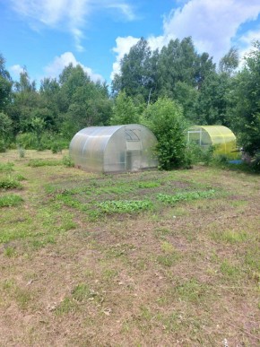 СНТ Родники в Нижние Серги - nizhnie-sergi.yutvil.ru - фото 4