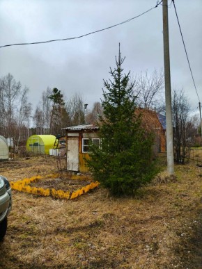 СНТ Родники в Нижние Серги - nizhnie-sergi.yutvil.ru - фото 5