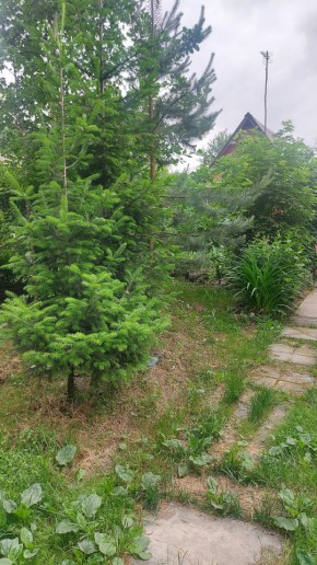 СНТ Садовод-24 в Нижние Серги - nizhnie-sergi.yutvil.ru - фото 15