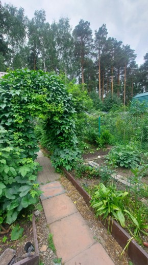 СНТ Садовод-24 в Нижние Серги - nizhnie-sergi.yutvil.ru - фото 20