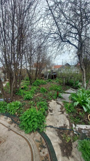 СНТ Сирень, уч. 38 в Нижние Серги - nizhnie-sergi.yutvil.ru - фото 7