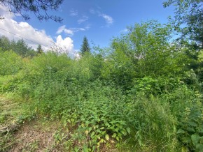 СПК Юбилейный, уч. 9 в Нижние Серги - nizhnie-sergi.yutvil.ru - фото 7