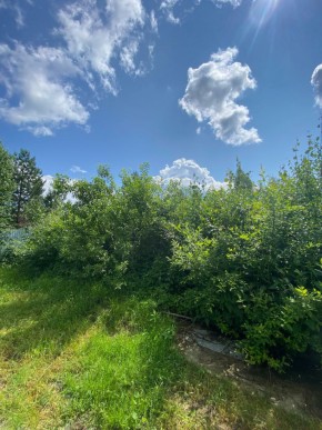 СПК Юбилейный, уч. 9 в Нижние Серги - nizhnie-sergi.yutvil.ru - фото 8