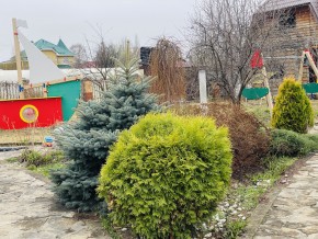 ул. Артиллеристов,18 в Нижние Серги - nizhnie-sergi.yutvil.ru - фото 6