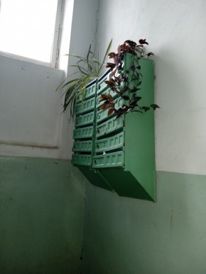 ул. Бажова,11 в Нижние Серги - nizhnie-sergi.yutvil.ru - фото 2 ул. Бажова,11 в Нижние Серги - nizhnie-sergi.yutvil.ru - фото 2