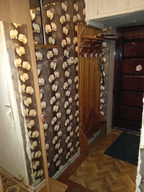 ул. Бажова,11 в Нижние Серги - nizhnie-sergi.yutvil.ru - фото 9