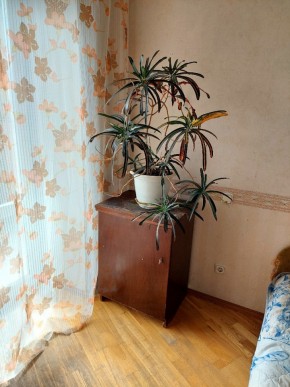 ул. Индустрии,29 в Нижние Серги - nizhnie-sergi.yutvil.ru - фото 3 ул. Индустрии,29 в Нижние Серги - nizhnie-sergi.yutvil.ru - фото 3