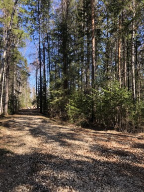 ул. Калиновая,9 в Нижние Серги - nizhnie-sergi.yutvil.ru - фото 2 ул. Калиновая,9 в Нижние Серги - nizhnie-sergi.yutvil.ru - фото 2