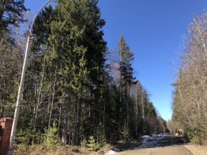 ул. Калиновая,9 в Нижние Серги - nizhnie-sergi.yutvil.ru - фото 4 ул. Калиновая,9 в Нижние Серги - nizhnie-sergi.yutvil.ru - фото 4