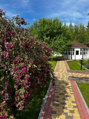 ул. Первомайская,220 в Нижние Серги - nizhnie-sergi.yutvil.ru - фото 3
