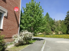 ул. Сосновая, 8 в Нижние Серги - nizhnie-sergi.yutvil.ru - фото 25 ул. Сосновая, 8 в Нижние Серги - nizhnie-sergi.yutvil.ru - фото 25