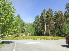 ул. Сосновая, 8 в Нижние Серги - nizhnie-sergi.yutvil.ru - фото 26 ул. Сосновая, 8 в Нижние Серги - nizhnie-sergi.yutvil.ru - фото 26