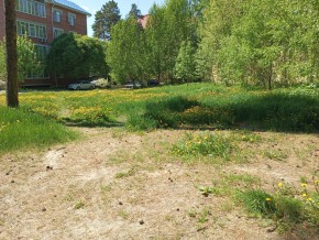 ул. Сосновая, 8 в Нижние Серги - nizhnie-sergi.yutvil.ru - фото 33 ул. Сосновая, 8 в Нижние Серги - nizhnie-sergi.yutvil.ru - фото 33