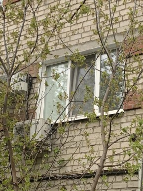 ул. Таганская,8 в Нижние Серги - nizhnie-sergi.yutvil.ru - фото 14