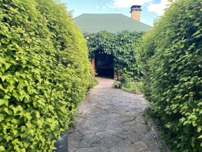 ул. Центральная,12 в Нижние Серги - nizhnie-sergi.yutvil.ru - фото 18