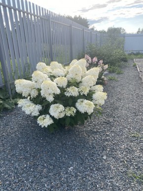 ул. Весенняя,12 в Нижние Серги - nizhnie-sergi.yutvil.ru - фото 20