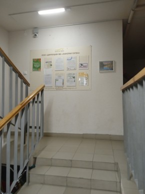 ул. Высокая,7 в Нижние Серги - nizhnie-sergi.yutvil.ru - фото 8